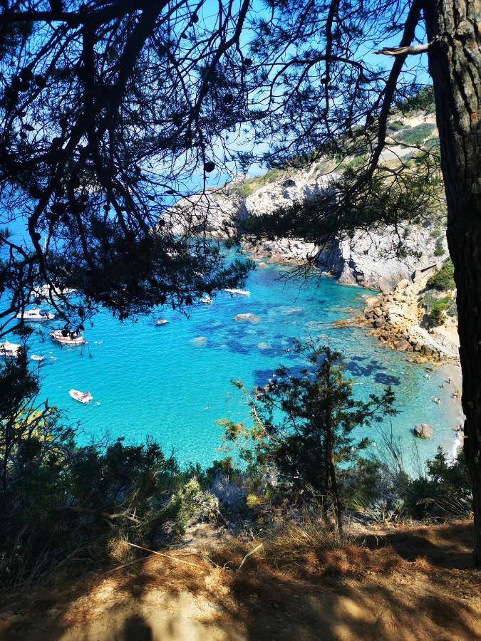 Casa Di Martina Daire Porto Santo Stefano  Dış mekan fotoğraf